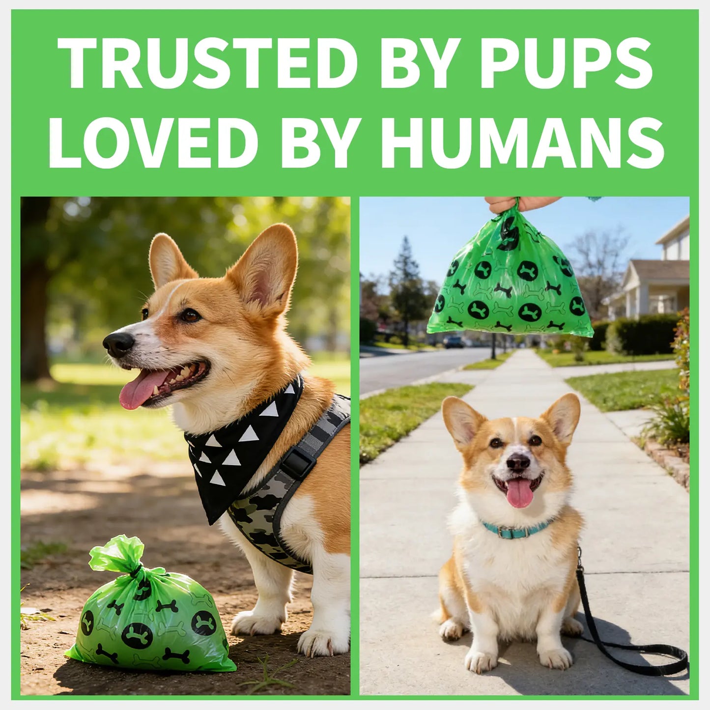 DGAPHRO Poop Bags for Dogs,Thick Leak Proof Dog Poop Bags Rolls 16 (240 Bags) with Dispenser and Leash Clip for Pet Cleanup & Outdoor Use,Lavender Scented Dog Accessories(Green).