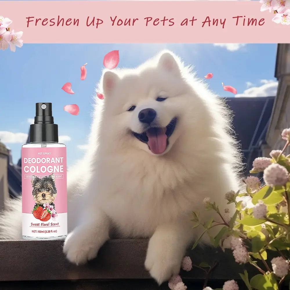 Pet Deodorizing Perfume, Odor Eliminator, Odor Remover, Odor Destroyer, Odor Removal Spray, Sweet Floral Scent, 100ML Liquid Spray, Freshen Pet Breath & Coat, Daily Use Grooming Accessory