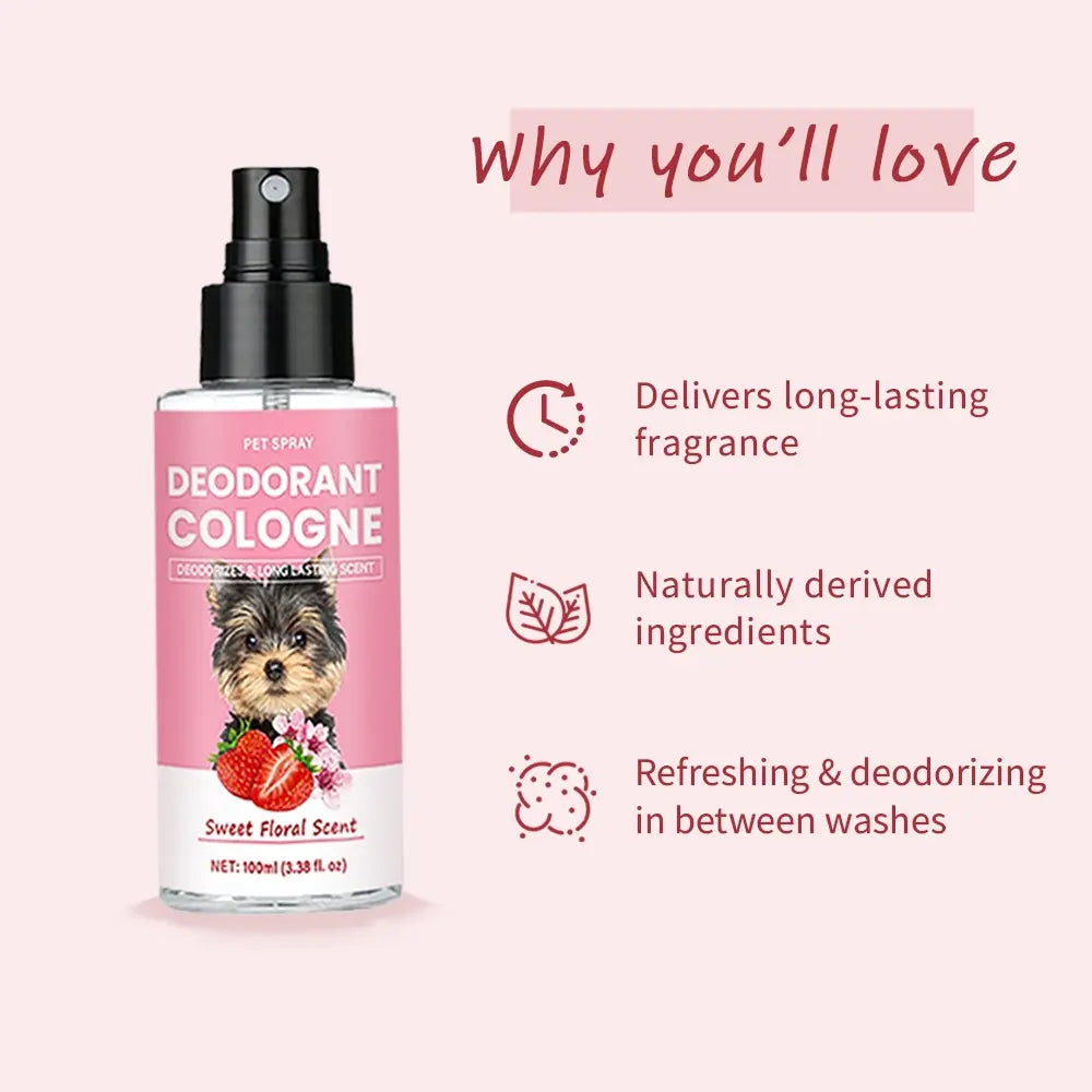 Pet Deodorizing Perfume, Odor Eliminator, Odor Remover, Odor Destroyer, Odor Removal Spray, Sweet Floral Scent, 100ML Liquid Spray, Freshen Pet Breath & Coat, Daily Use Grooming Accessory